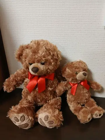 곰 브라운 봉제 인형 2체 세트