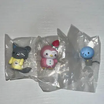 JOCHUM 제오참 나란히 3세트