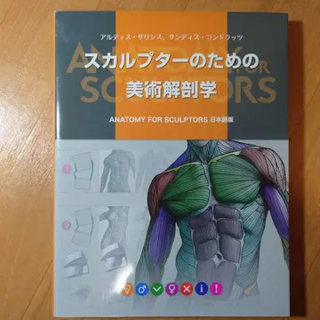 스컬프터를 위한 미술 해부학