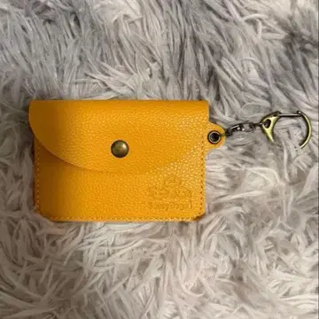 FC 한정판 오너즈 투어 사우시도그 패스 케이스