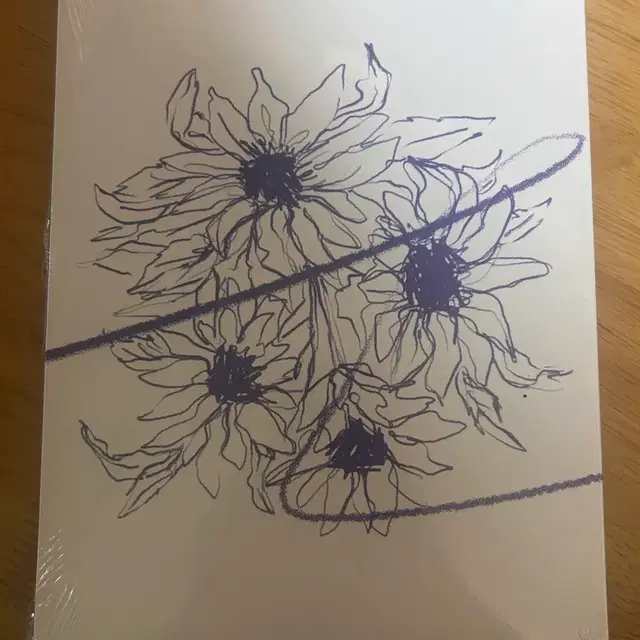 루시 선 미개봉 앨범