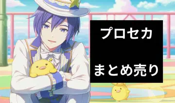프로세카 묶음 판매