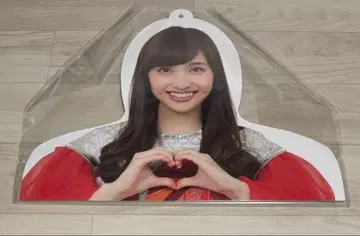 모모이로 클로버 Z 모모타 카나코 얼굴 사진 행거 모모쿠라 클럽 새상품