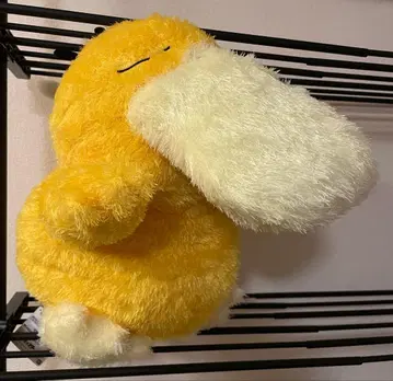 택 포함 새상품 메챠모후굿토 쿠츠로기 타임 봉제 인형 ~코닥~ BIG