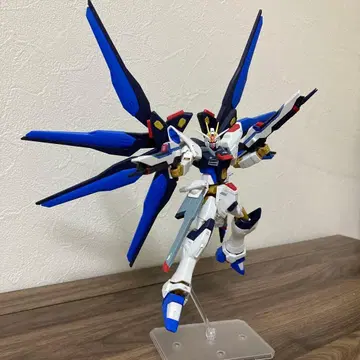 완성품 HG 스트라이크 프리덤 건담