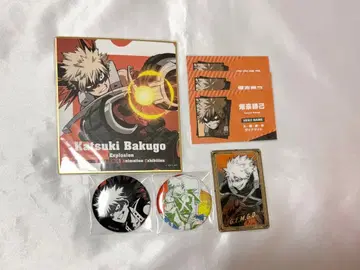 나의 히어로 아카데미아 히로아카 바쿠고 카츠키