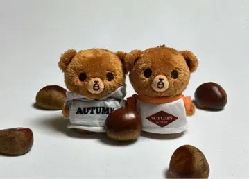 해찬 봉제 인형