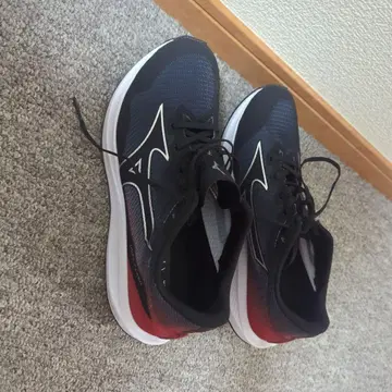 미즈노 듀얼 플래시 26.0