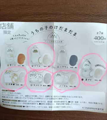 우리 아이의 털뭉치 가챠 5종류