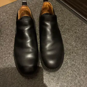 대너 카먼 사이드 고어 US8