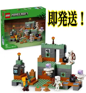 1 LEGO Minecraft tbd-21271 새상품