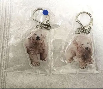 야기야마 동물공원 북극곰 쌍둥이 세트 기간 한정 가격 인하 중