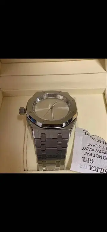 Elan Simple watch 자동 시계 실버