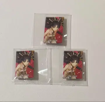 Fate/GrandOrder 아레코레푸치 CAN 배지 이슈탈