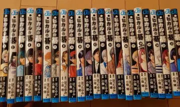 히카루의 바둑 전권