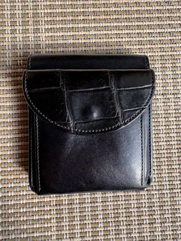 FRANTZ 프란츠 WILDSWANS 와일드 스완스