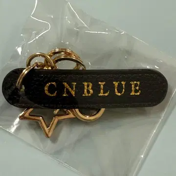 CNBLUE AUTUMN LIVE SHINTOUYA 백참