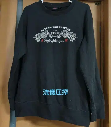 류기압착 트레이닝복 와샤레 XL