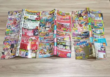 ONE PIECE 특집 페이지