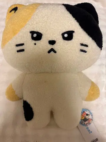 ZEROBASEONE 제로니 플랫 쿠션 rinini 리니니