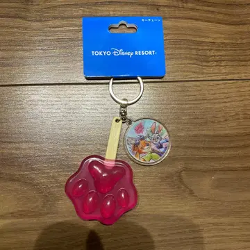 디즈니 주토피아 키체인 아이스캔디