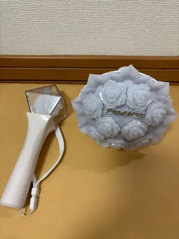 Snow Man 응원봉 스타디움 라보