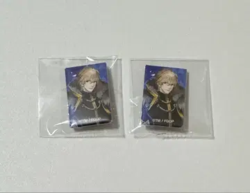 Fate/GrandOrder 아레코레 쁘띠 CAN 배지 가웨인