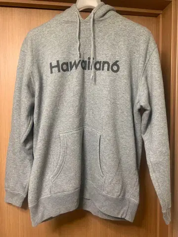 HAWAIIAN6 후드티