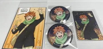 하이큐 코스모 월드 히나타 쇼요