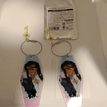 FGO 황비호 아크릴 키링