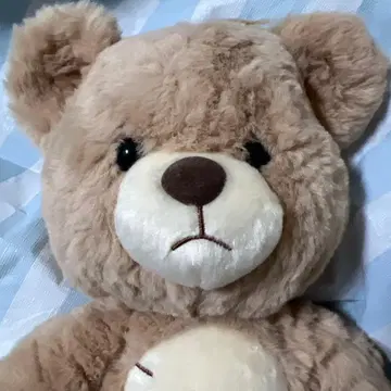 맥스의 테디베어 봉제 인형 GOOFY BIRTHDAY 곰 구피