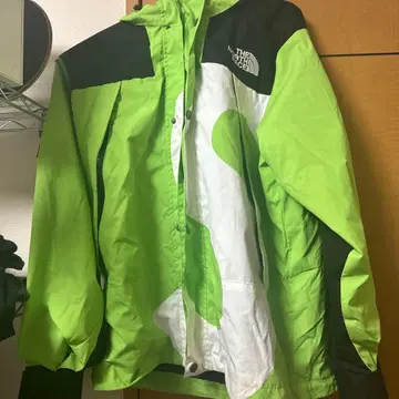 THE NORTH FACE 마운틴 후드티 그린/블랙