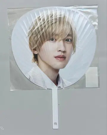 미치에다 슌스케 점보 부채