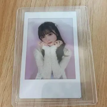 미쿠마루루 체키