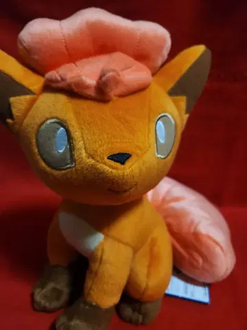 포켓몬 봉제 인형 로콘 큰 봉제 인형 포켓몬 포커스