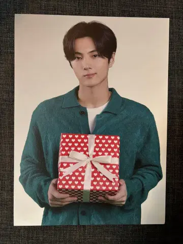 ENHYPEN WORLD 포스터 제이 홀리데이