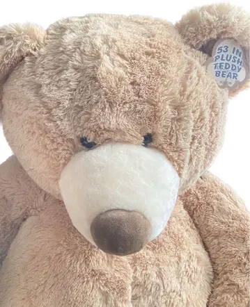 코스트코 테디베어 곰