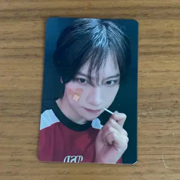 홈 레이스 워치파 빈파 쿠지