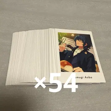 아오바 츠무기 파샤츠 모음