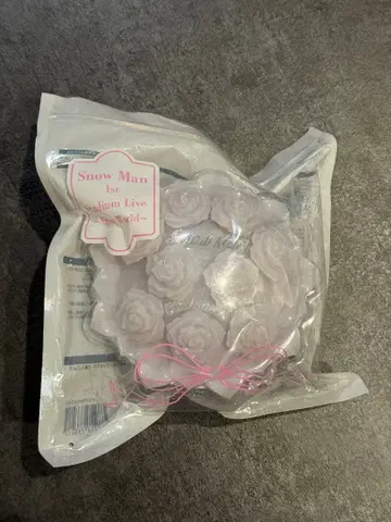 Snow Man 1st Stadium Live Snow World 펜