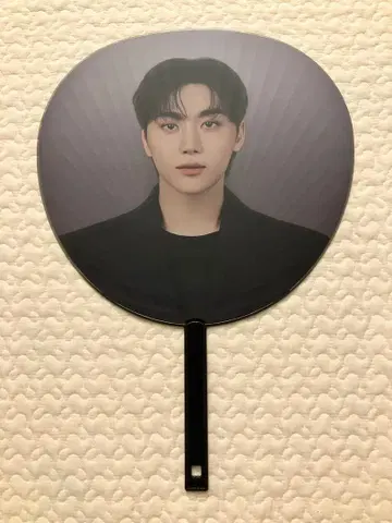 SEUNGKWAN K-POP 부채
