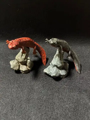 생물대도감 미니 컬렉션 양서류 02 아카하라이모리 2종 세트