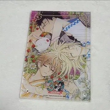 CLAMP 아크릴 섀도우 박스 츠바사 크로니클 파이 샤오랑 쿠로가네