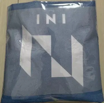 GIGO 한정판 INI 토트백