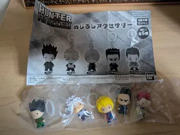 헌터헌터 메지루시 액세서리 히소카 곤 키루아 크라피카 레오리오