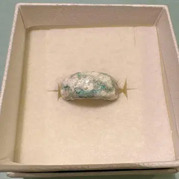 Sussus 스우스 화이트와 파랑 약 13호-14호