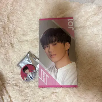 JO1 키마타 쇼야 캔뱃지&카드