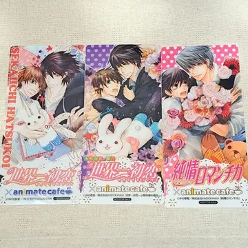 순정 로맨티카 세계 제일의 첫사랑 아니카페 클리어 책갈피