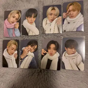 스키즈 트레이딩 카드 8장 세트