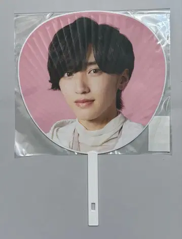 미치에다 슌스케 점보 부채